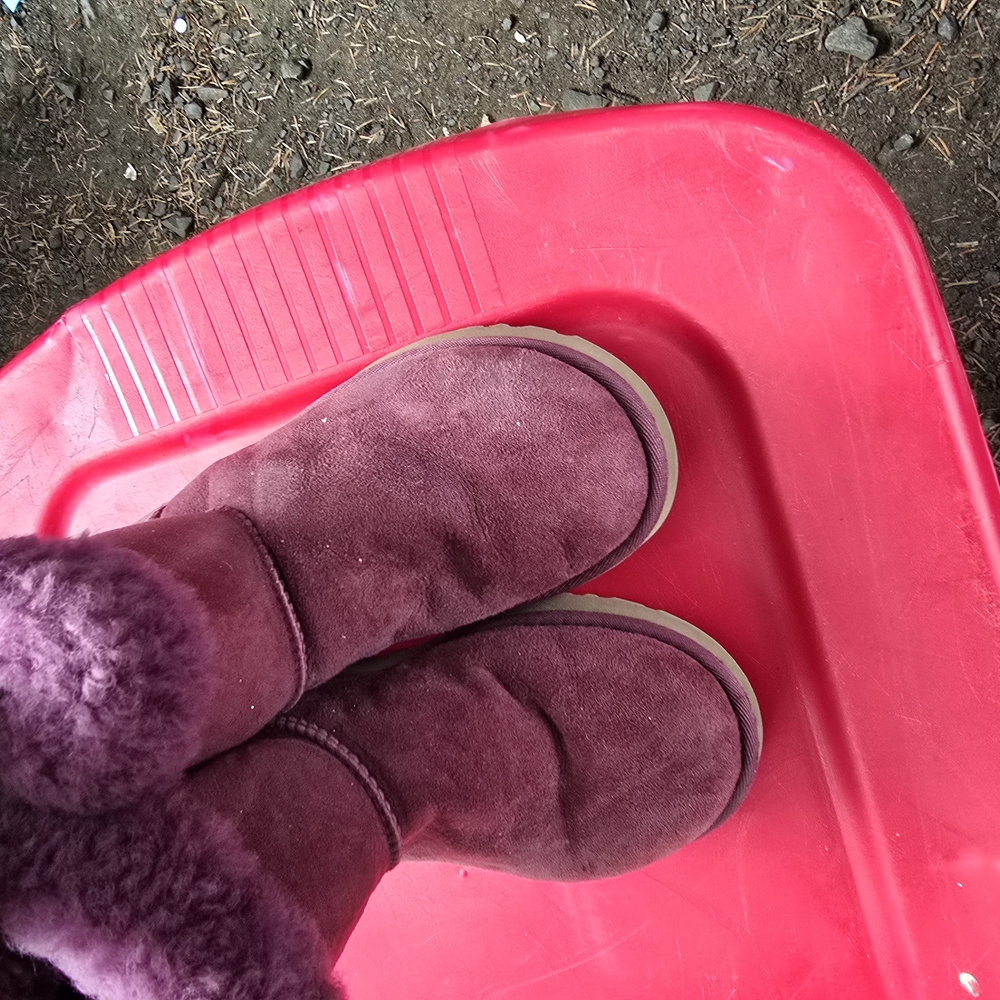 UGG Plum Suede Boots with Plush Lining